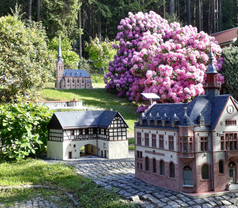 Das Miniaturmodell eines historischen Rathauses steht im Klein-Vogtland in Adorf in Sachsen in einem Parkgelände mit grüner Wiese und violett blühenden Rhododendren im Hintergrund.