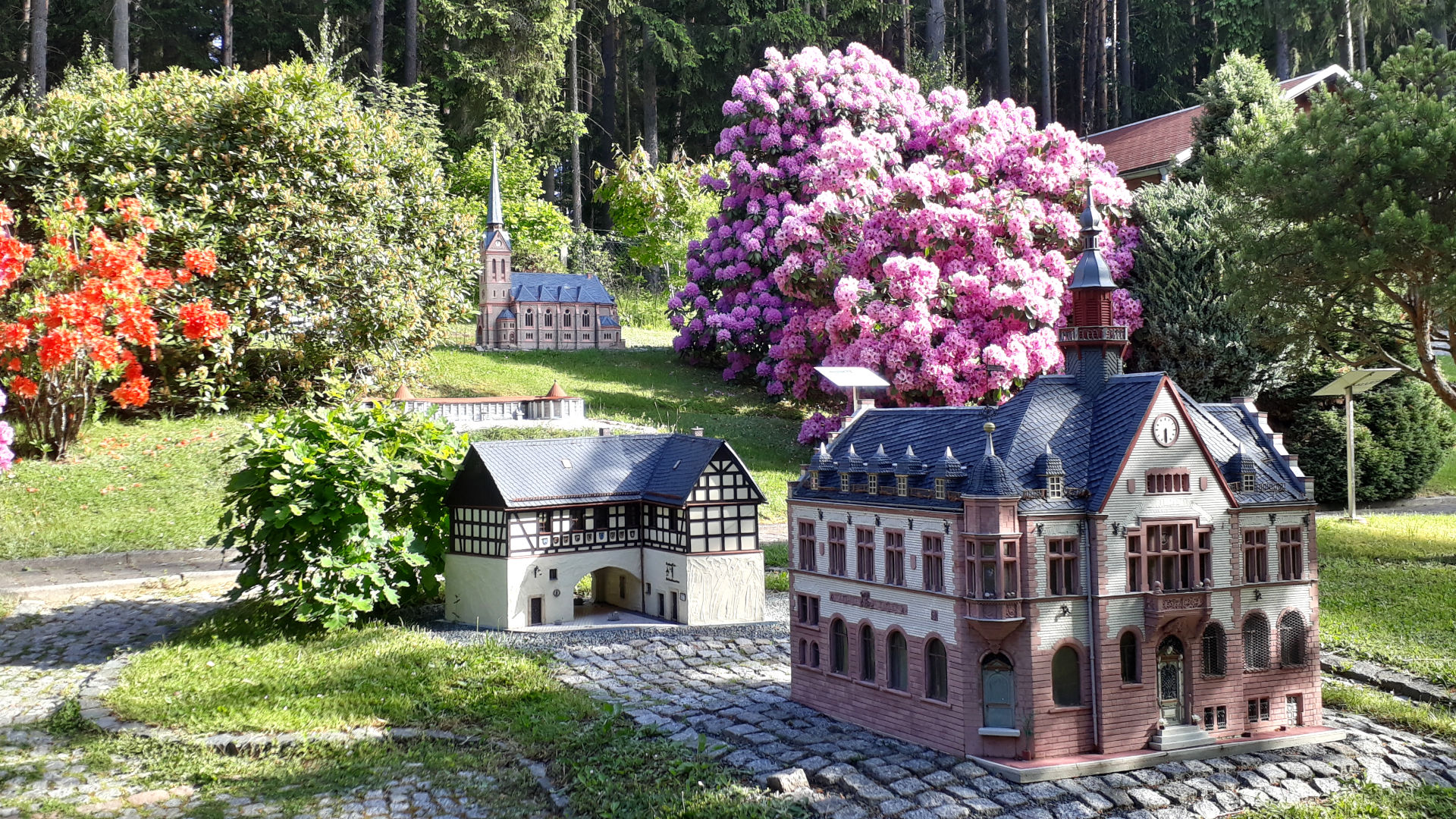 Das Miniaturmodell eines historischen Rathauses steht im Klein-Vogtland in Adorf in Sachsen in einem Parkgelände mit grüner Wiese und violett blühenden Rhododendren im Hintergrund.