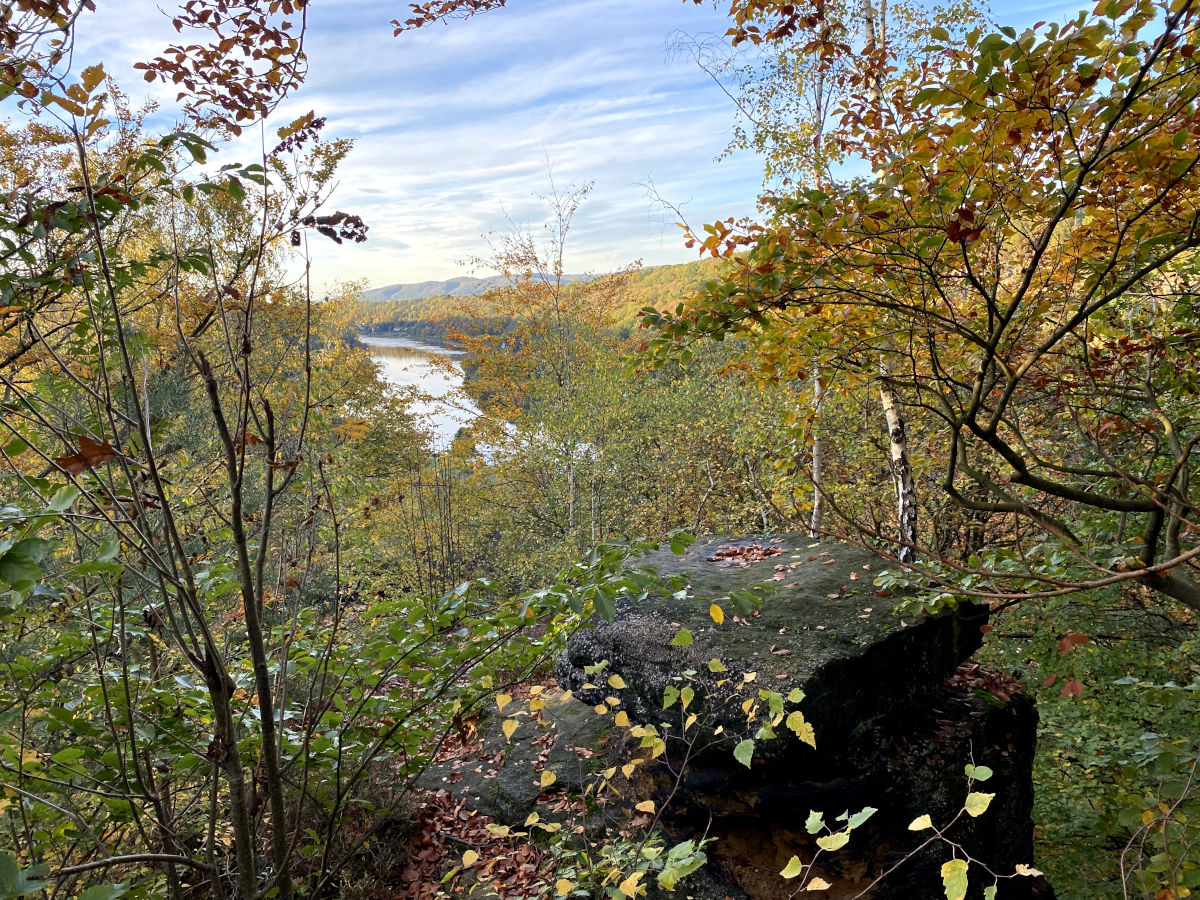 Zwischen herbstlich bunt gefärbten Bäumen ist der Flusslauf der Elbe im Tal zu erkennen.