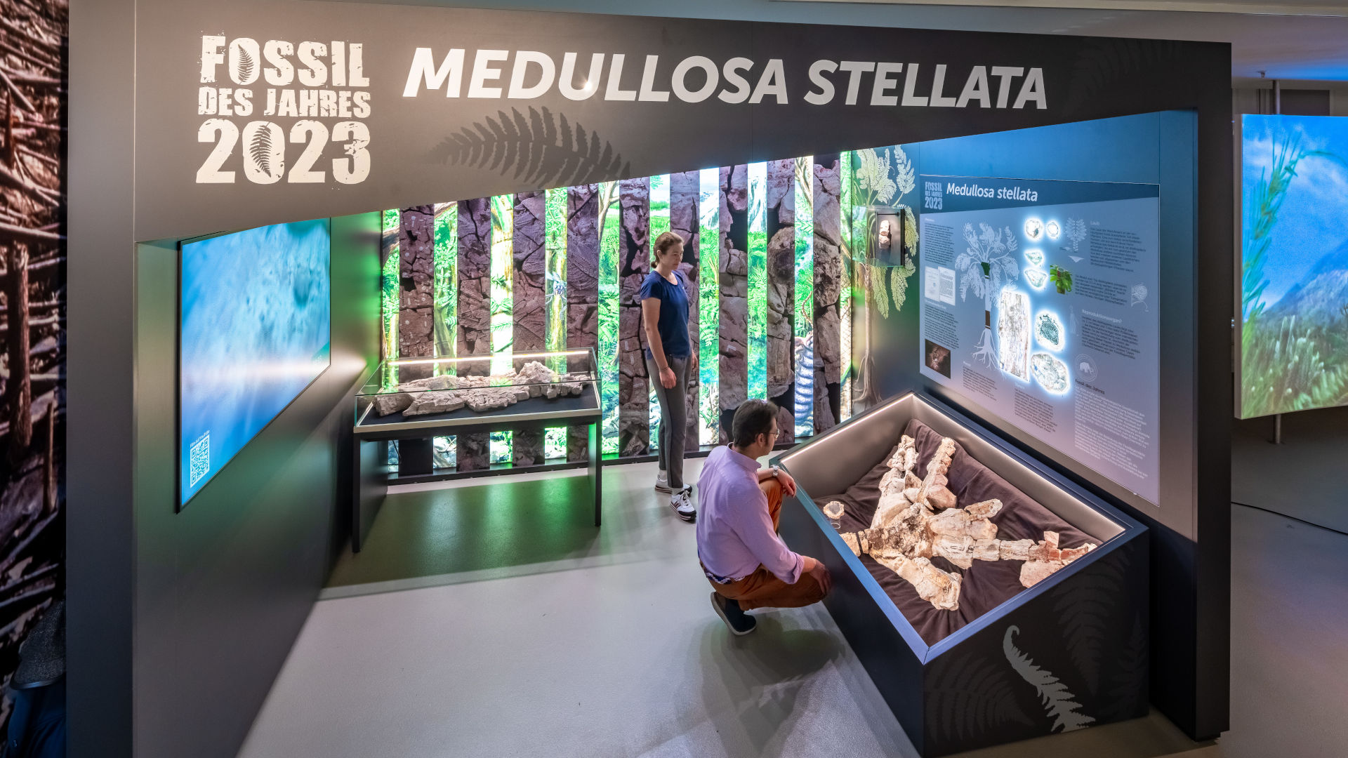 Ein Mann und eine Frau schauen sich in der Ausstellung des Museums für Naturkunde Chemnitz in einer Vitrine das Fossil einer Pflanze mit farnartigem Laub an.