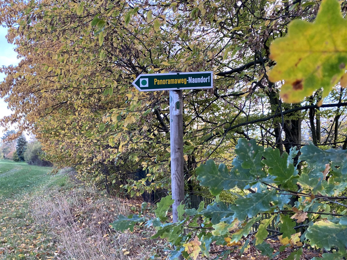 Ein grüner Wegweiser trägt die Aufschrift "Panoramaweg Naundorf" und die Markierung mit einem grünen Punkt