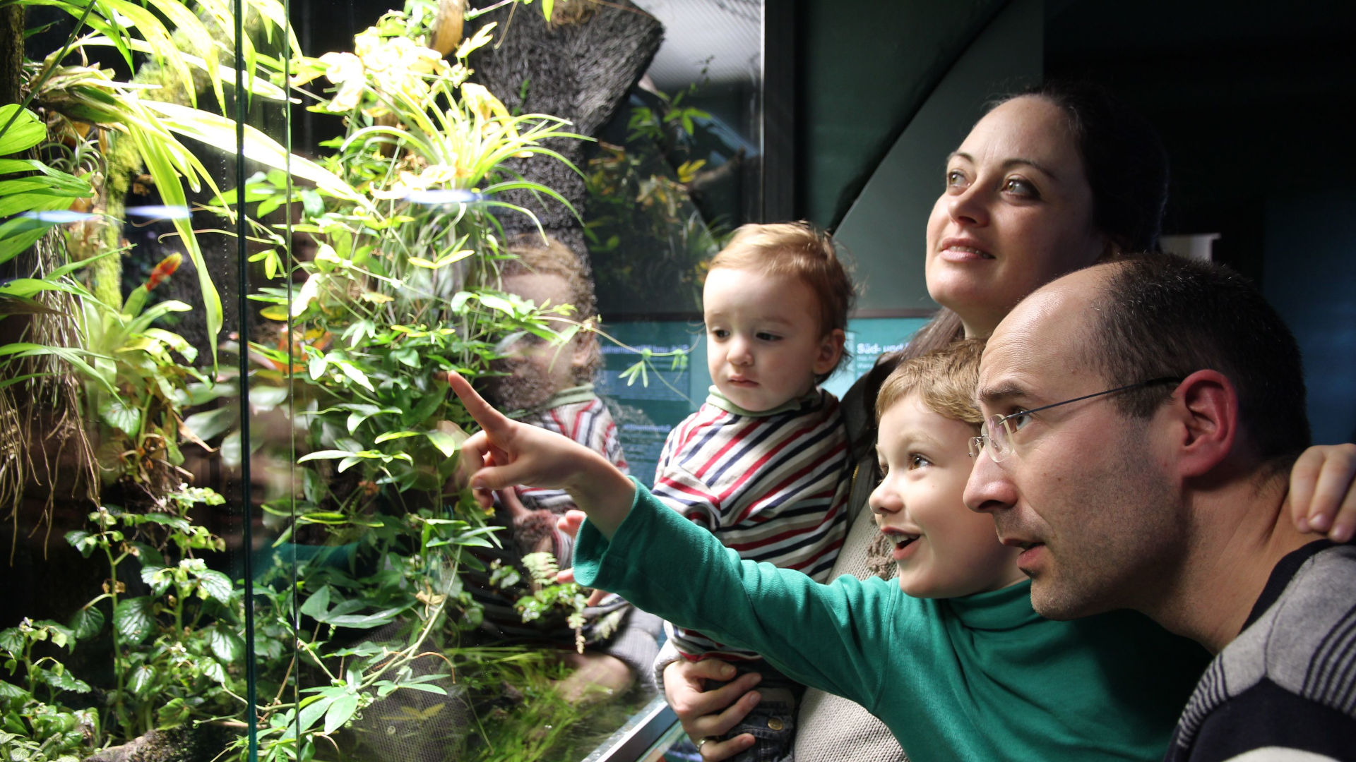 Ein junger Vater mit Halbglatze hält einen etwa vierjährigen Jungen auf dem Arm, dahinter steht die Mutter mit einem etwa zweijährigen Kind. Sie zeigen auf eine grün bepflanztes Terrarium.