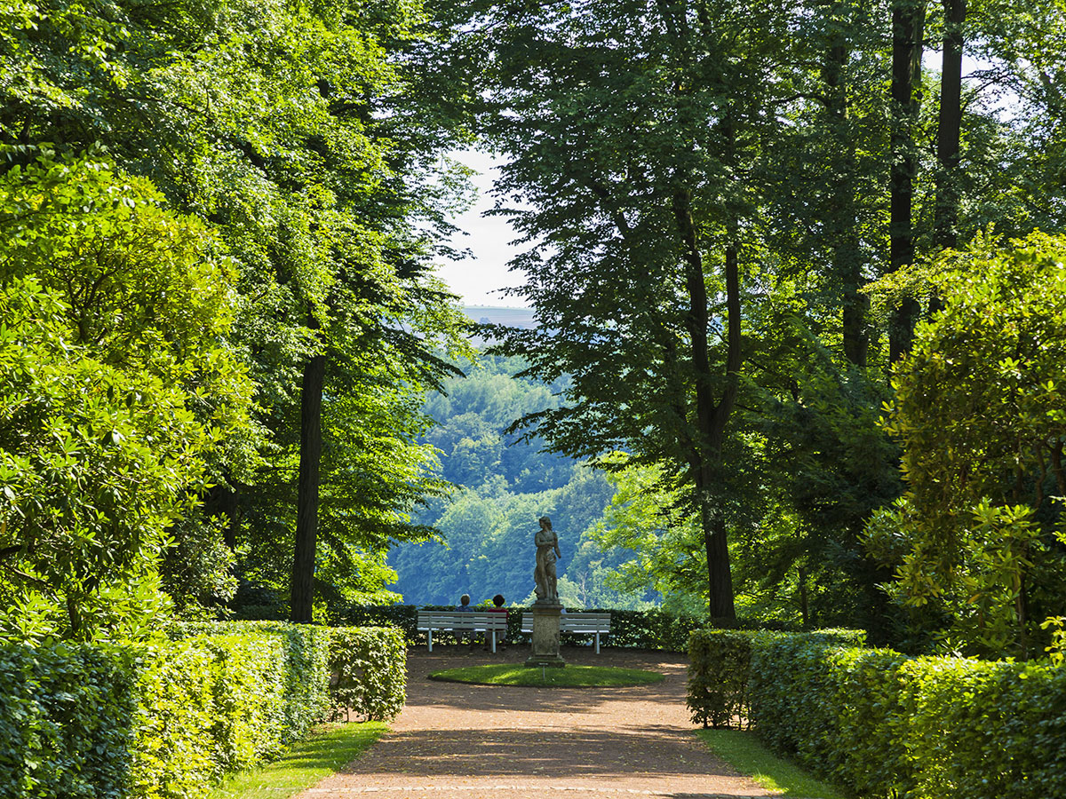 Allee im Schlosspark Lichtenwalde