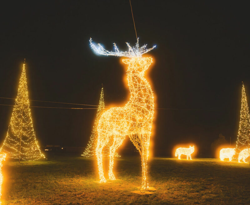 Die Skulptur eines Hirsches aus tausenden LED-Lichtern steht vor einem dunklen Nachthimmel in einem Park