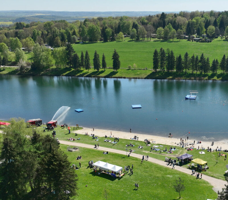 Blick von oben auf einen blauen Stausee mit Sprungturm und Fontäne, Liegewiese und Bäumen am Ufer