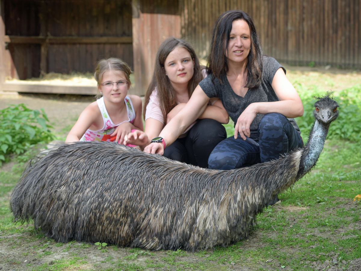 Emu mit Tierparkbesuchern